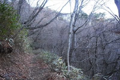 ここあらは普通の登山道・・・。...