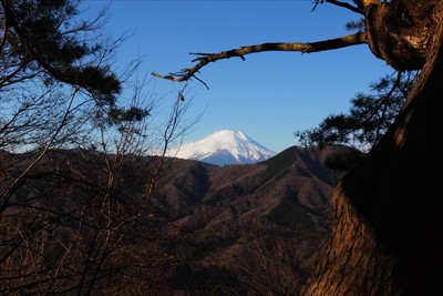 ベンチに座ると松越しの富士山が...