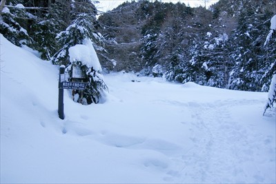 しばらく歩くと・・・...