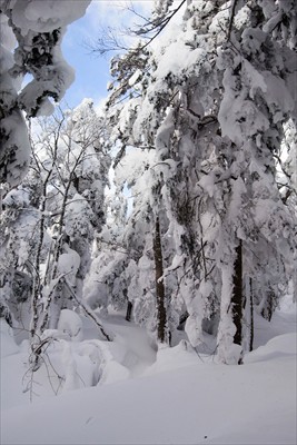 まさに雪山な景色。...