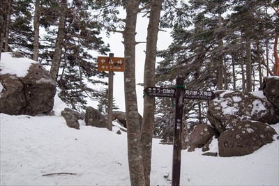 中山峠までは緩やかな道を５分程...