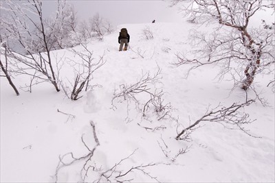 雪の壁のような急登。...