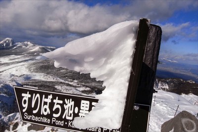 エビの尻尾。当初はすりばち池経...