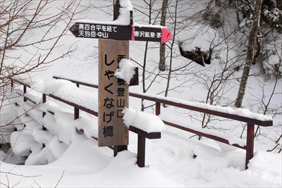 こっちの橋は西尾根経由で天狗岳...