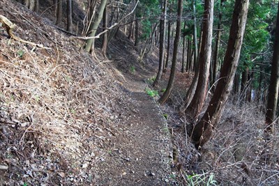 ふぅ、やっと平らな道になった。...