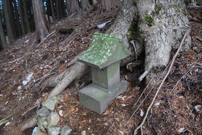 山の神通過・・・しようと思った...