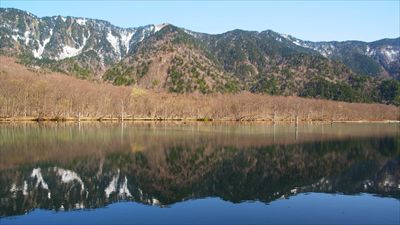 初めて来た時に比べて大正池の立...