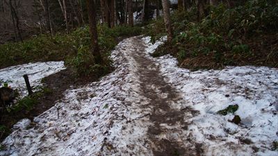 まだ雪がチョット残っている。...