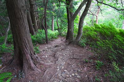 展望台方面に進むも、また大きく...