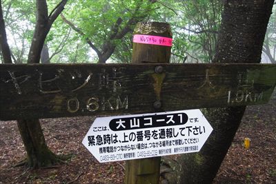 山頂まで1.9km。...