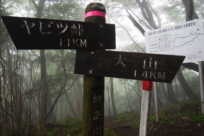 クサリ場を過ぎるとすぐに春岳山...