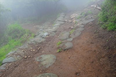 春岳山への分岐から３０分ほどで...