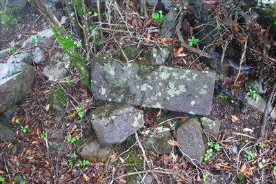 登山道を少し離れた所に怪しい石...