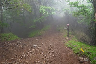 イタツミ尾根の分岐です。...