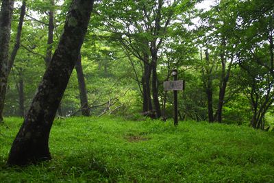 分岐から１〜２分ほどで・・・...