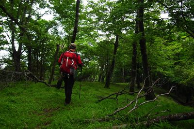 5分ほど山頂をブラブラして、バ...