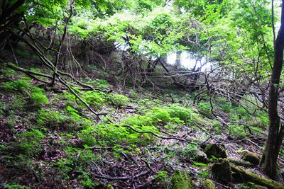 崩れやすい斜面をよじ登って堰の...