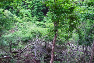 稜線の突端から下を見ると、少し...