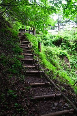 この階段を登ればゴールです。...