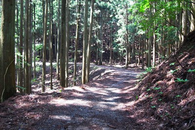 あとは長い林道歩き・・・。...