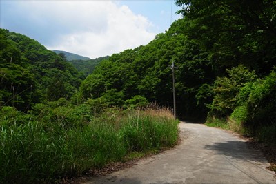 単調な林道歩きに飽きた・・・。...