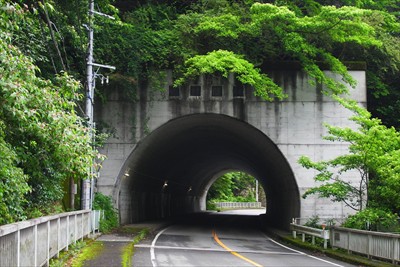 いくつかのトンネルを潜ります。...