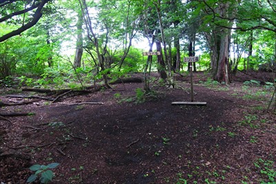 樹林に囲まれたピーク・・・...