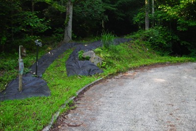 分岐。林道をハズレて左の登山道...