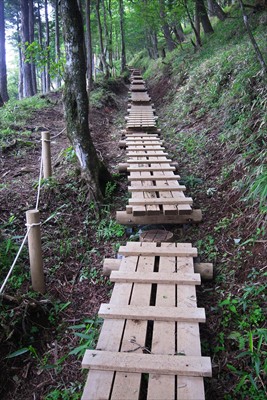 木道。歩幅が合えば歩きやすいけ...