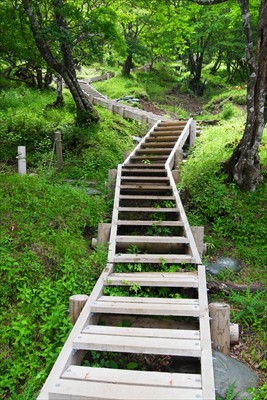 山頂への最後の登り・・・。...