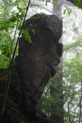 この岩、右を向いた人の横顔に見...