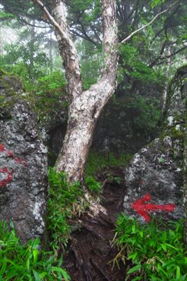 巨岩の間を通り抜ける。...