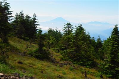 遠くに富士山も見えた。これなら...