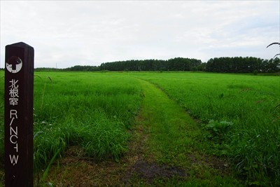 牧草地を突っ切って・・・...