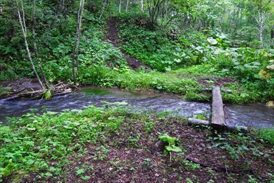 おぉ、ここがケネカ川か。結構水...