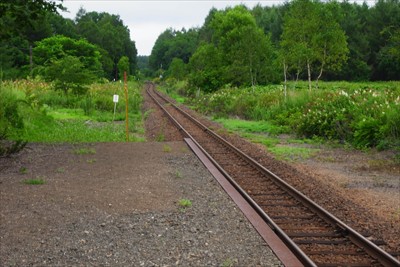 電車の到着する2〜3分前に地震...