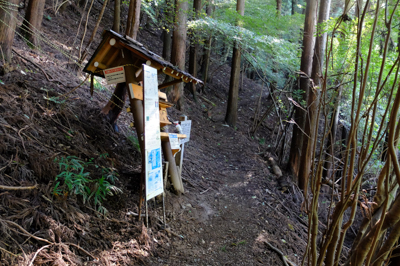 登山ポストがあります。...