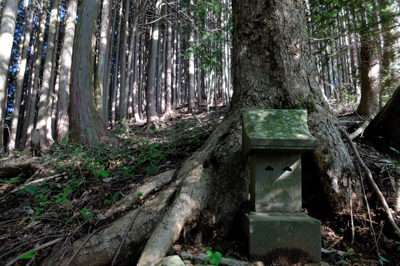 山の神の裏の斜面を・・・...