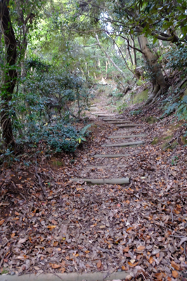 ・・・登りが続く・・・。...