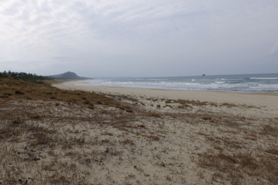 とりあえず海岸に出てみた。この...