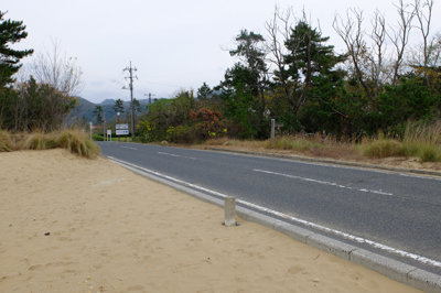 松林の向こう側を回り込むと車道...