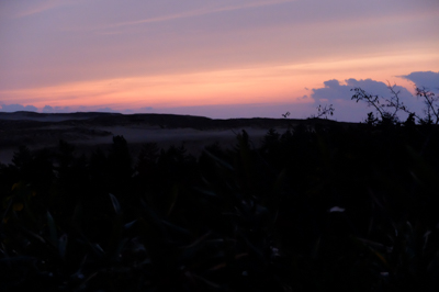 夕焼けの鳥取砂丘。...