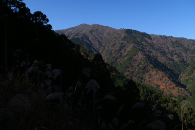 大山の山頂が見えた。...