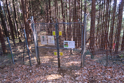 鹿柵。この手前に登山ポストもあ...