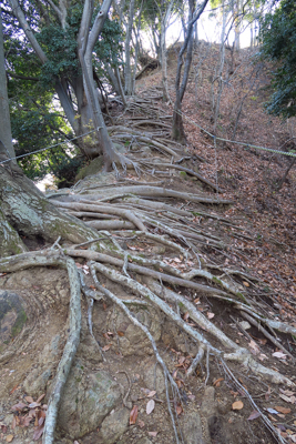 登山口から見城山までは急な登り...