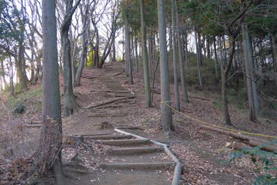 稜線まで一気に登ります。ここで...