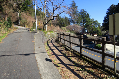 左の舗装道が今来た道、右の黄色...