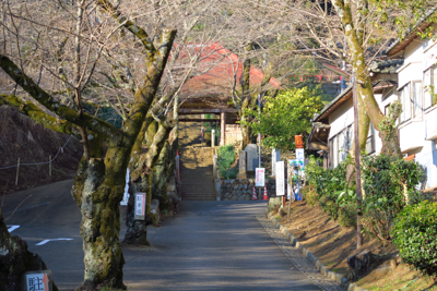 奥に長谷寺があります。２週間ほ...