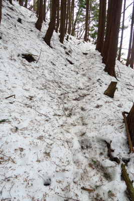 ・・・雪が思っていたより多い・...