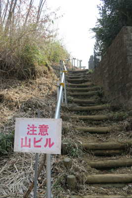 ・・・階段を登ると宮ヶ瀬湖が一...